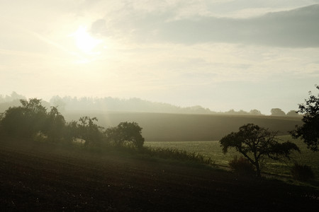 DSCF0007.JPG