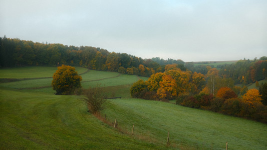 DSCF0035.JPG