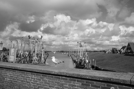 DSCF0041.JPG