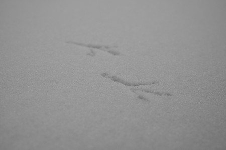 DSCF0129.JPG