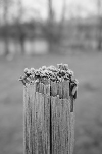 DSCF0132.JPG