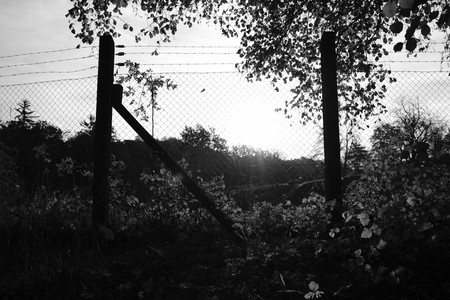 DSCF0149.JPG