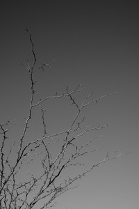 DSCF0258.JPG