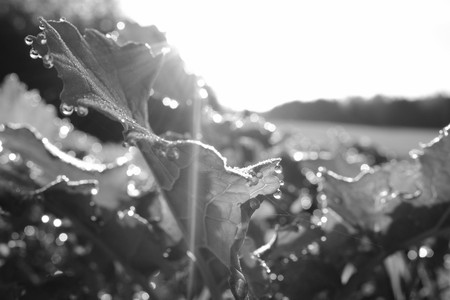 DSCF0274.JPG