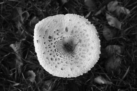 DSCF0304.JPG