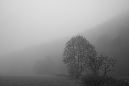 DSCF0332.JPG