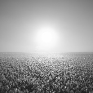 DSCF0383.JPG