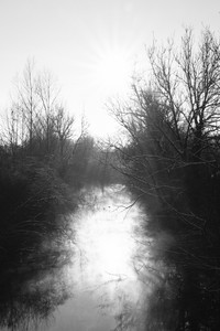 DSCF0391.JPG