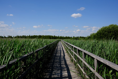 DSCF0500.JPG