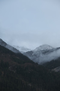 DSCF0617.JPG