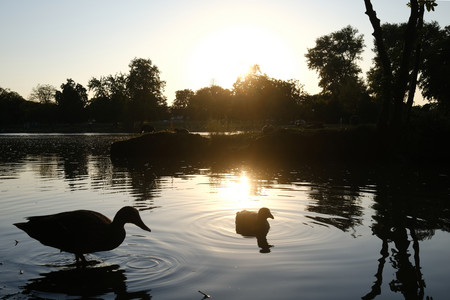 DSCF0633.JPG