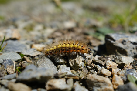 DSCF0691.JPG
