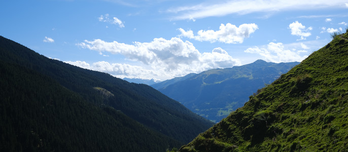DSCF0701.JPG