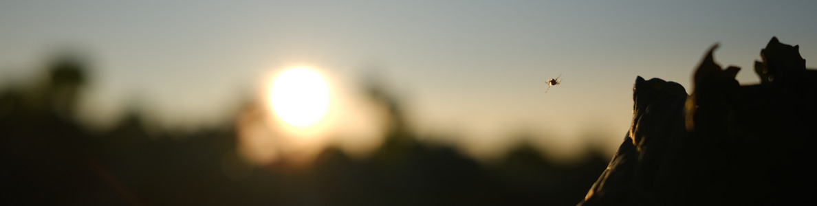 DSCF0876.JPG