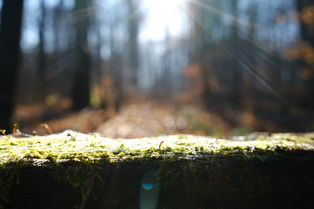 DSCF0908.JPG