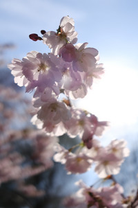 DSCF1041.JPG