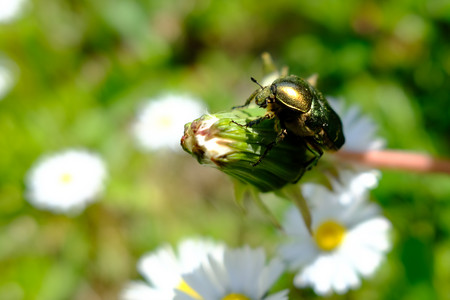 DSCF1121.JPG
