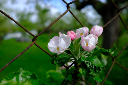 DSCF1147.JPG