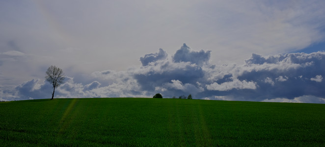 DSCF1327.JPG