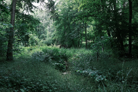 DSCF1412.JPG