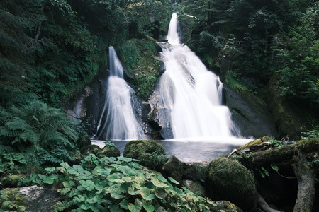 DSCF1738.JPG