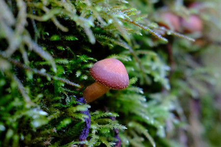 DSCF2023.JPG