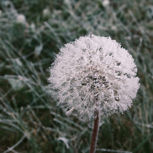 DSCF2034.JPG