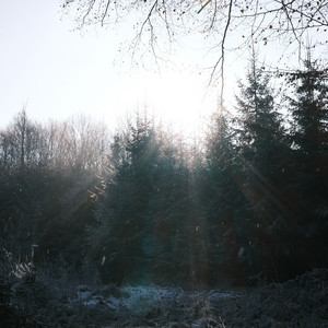 DSCF2106.JPG