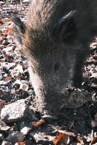 DSCF2160.JPG