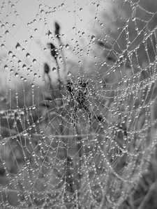 IMG_1049.jpeg