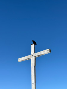 IMG_1669.jpeg