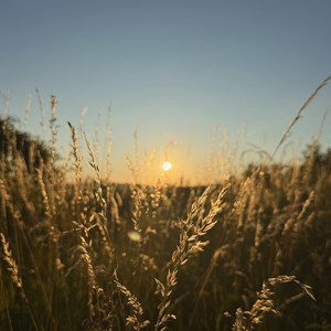 IMG_2649.jpeg
