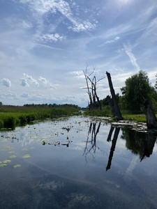 IMG_3431.jpg