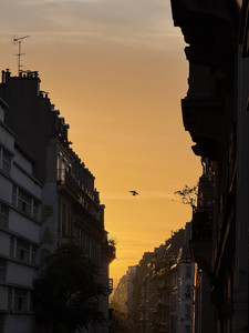 IMG_3835.jpeg