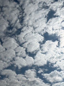 IMG_6899.jpeg