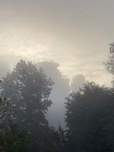 IMG_6967.jpeg