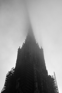 IMG_8626.jpg
