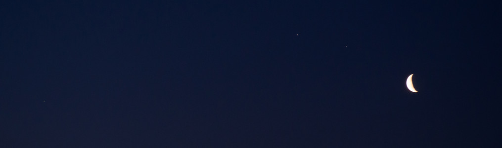 P3180485.jpg