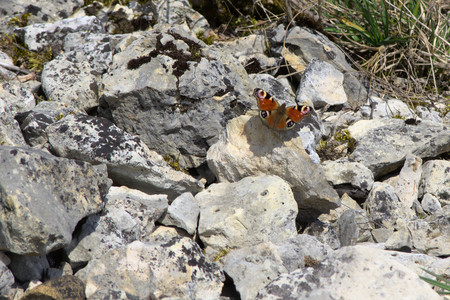 P3270548.jpg