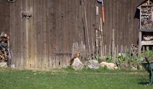 P3270553.jpg